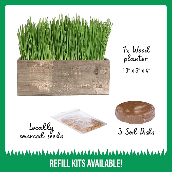 TCL Rustic Wooden Planter Cat Grass Kit with Refill