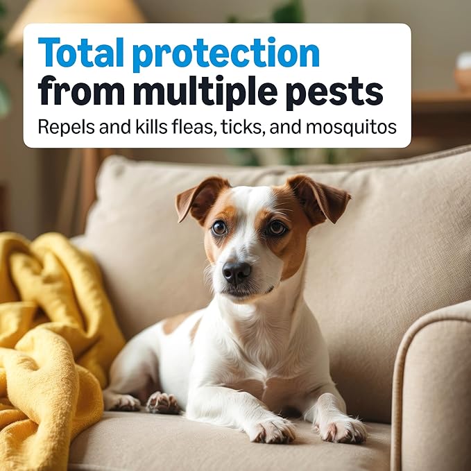 Amazon Basics Flea, Tick & Mosquito Topical Treatment & Prevention for Medium Dogs (11-20 pounds), Fast-Acting, Kills Fleas, Eggs & Larvae, 30 Day Protection, 6 Count, Packaging May Vary