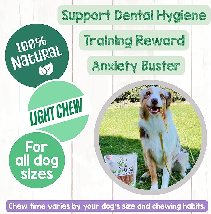 Nature Gnaws USA Turkey Tendons for Dogs (1Lb) - Delicious Grain Free Reward Snack for Small, Medium & Large Breeds - Premium Natural Dog Chew Treats