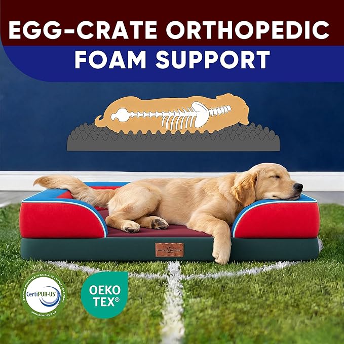 Comfort Expression Orthopedic Dog Bed for Large Dogs 36x27 Inch, Waterproof Egg Crate Foam Large Pet Bed with Bolsters, Dog Couch with Washable Cover & Non-Slip Bottom, San Francisco
