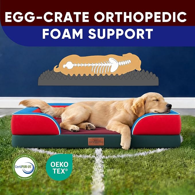 Comfort Expression Orthopedic Dog Bed for Extra Large Dogs 42x30 Inch, Waterproof Egg Crate Foam XL Pet Bed with Bolsters, Dog Couch with Washable Cover & Non-Slip Bottom, San Francisco