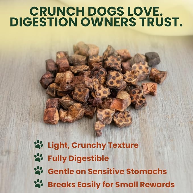 1 Lb Beef Lung Training Treats for Dogs – Single Ingredient Crunchy Bites, High Protein Low Fat Natural Dog Treats, Perfect Reward Snacks for All Dogs