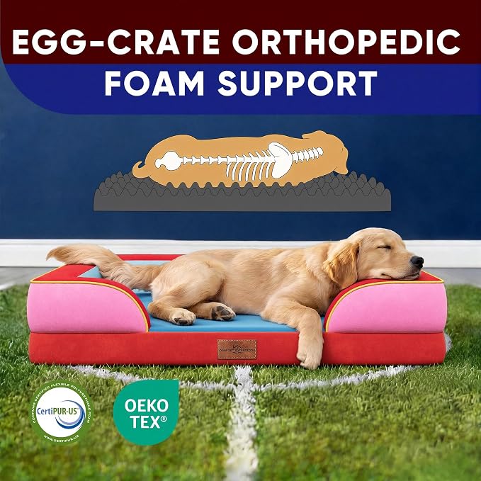 Comfort Expression Orthopedic Dog Bed for Extra Large Dogs 45x35 Inch, Waterproof Egg Crate Foam XL Pet Bed with Bolsters, Dog Couch with Washable Cover & Non-Slip Bottom, Los Angeles