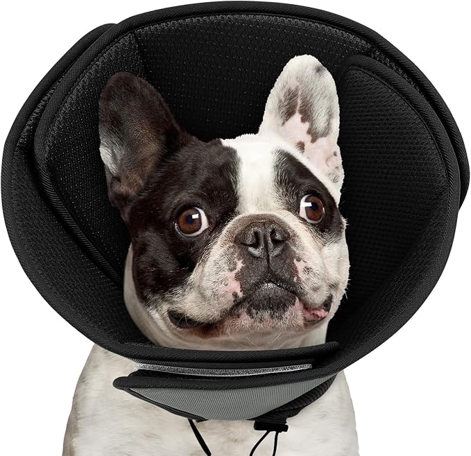 Queenmore Soft Dog Cone Collar,Comfortable Cones for Small Dogs/Cat to Stop Licking After Surgery, Comfy Elizabethan Collars, Neuter Recovery Ecollars of Shame Alternatives,BlackGrey,M