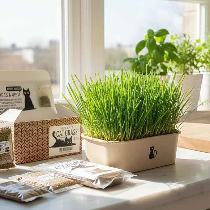 Cat Grass Grow Kit — 4-Batch Indoor Growing Set with Containers, Soil Disks & Seeds | Supports Digestion & Hairball Control | Ready to Grow, No Mess