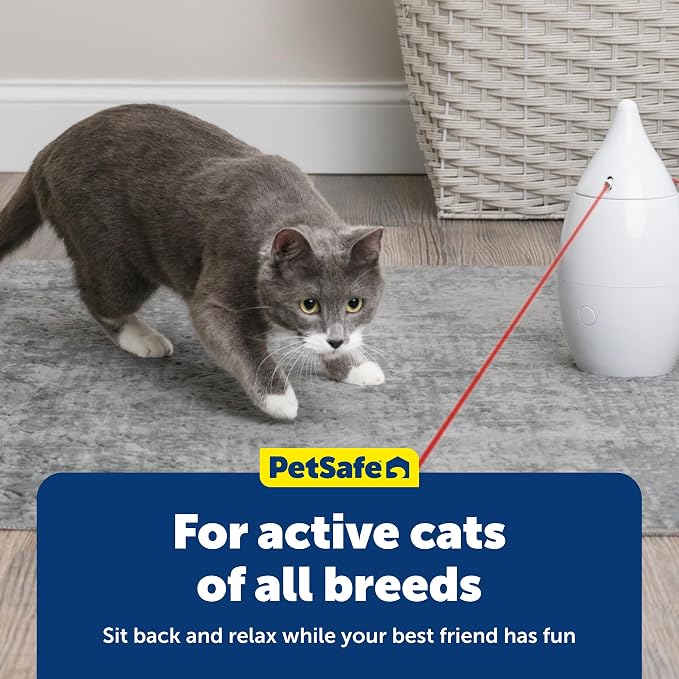 PetSafe Zoom Rotating Laser Cat Toy Includes 2 Interactive Laser Lights