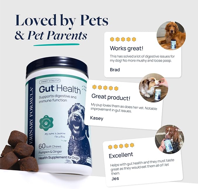 Veterinary Formula Gut Health Supplement for Dogs – Vet-Formulated Probiotic Chews with Digestive Enzymes & Fiber – Smart Vitality Support Digestive Health, Gut Balance & Stool Quality, 120 Soft Chews