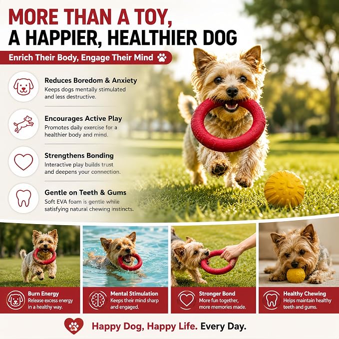 Floating Ring & Ball Combo Set, 2 Pack EVA Water Fetch Toys for Dogs, Durable Chew Tug Toy for Small Medium Large Dogs, Pool Beach Interactive Play (Red, Small)