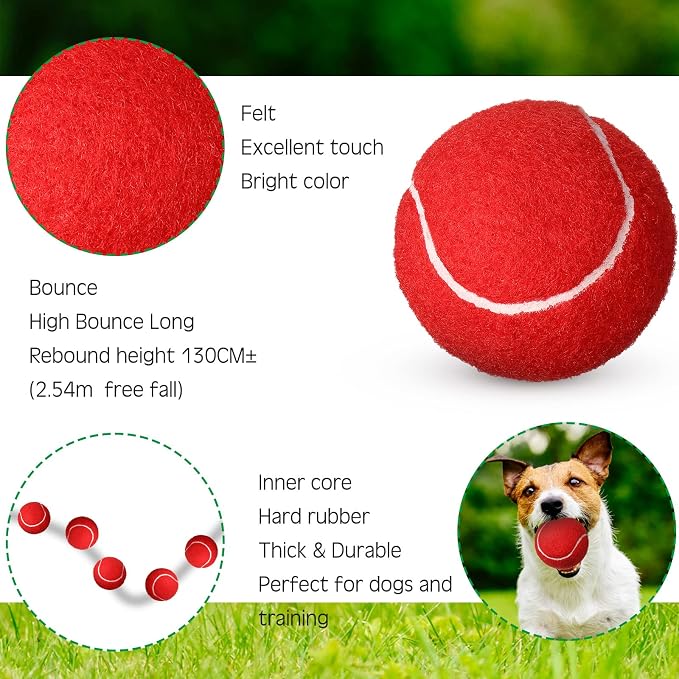 Vinsot 24 Pack Tennis Balls Bulk, Standard Pressure Balls for Training Playing Player Beginner Youth, Exercise Ball for Pet Dog, 2.5 Inch(Red)