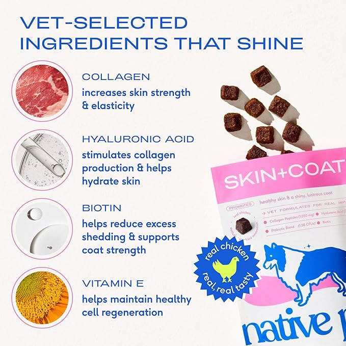 Native Pet Skin & Coat Chews - Omega 3 Fish Oil for Dogs Skin & Coat Supplement - Itch Relief, Shiny Fur & Shedding Support - Collagen, Hyaluronic Acid, Biotin, Probiotics & Salmon Oil - 60 Chews
