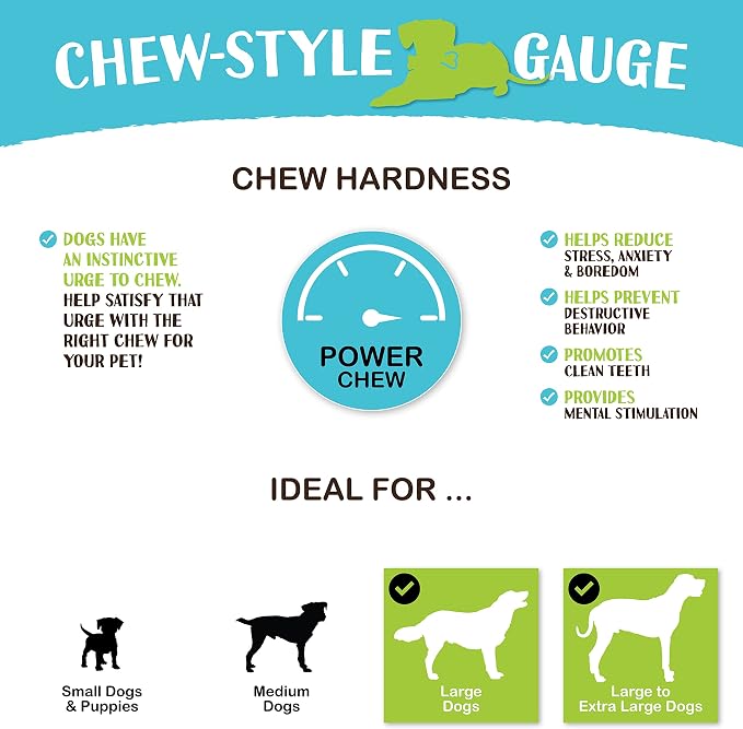 Raw Paws Himalayan Yak Chews for Dogs, Large (10 Pack) - Packed in USA - Tibetan Yak Cheese Dog Chews for Medium to Large Breeds - Hard Milk Dog Chew Bones - Single Ingredient - Long Lasting