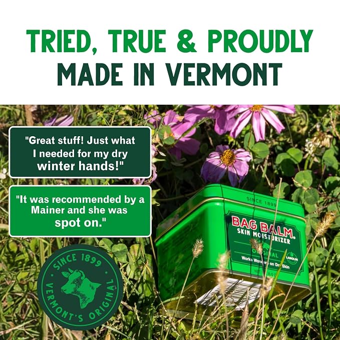 Bag Balm Vermont's Original Skin Moisturizer - Full Body Hydrating Skin Care: Dry Hands, Lips, Face, Feet & More - Unscented, Cruelty & Paraben Free - Day & Night, Men & Women (4oz Tin, Made in USA) | camping-soaps-and-shampoos