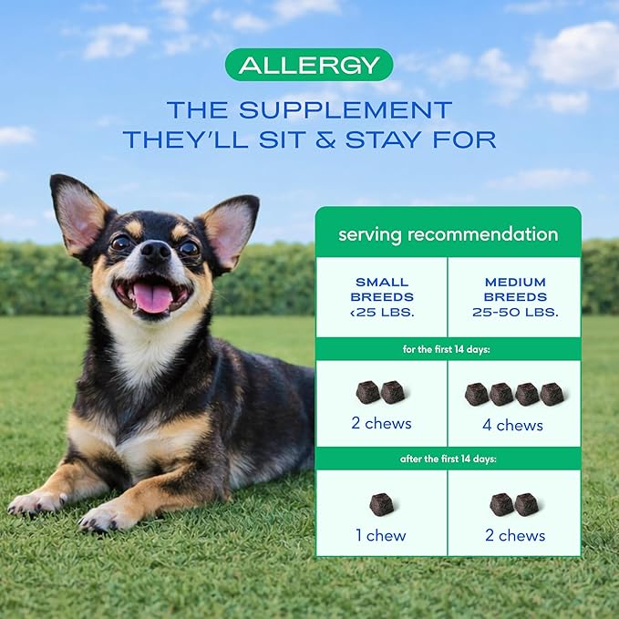 Native Pet Dog Allergy Chews - Dog Allergy Relief with Probiotics and Colostrum for Itchy Skin Relief to Support Seasonal Allergy and Healthy Immune System - All Natural Anti-Histamine - 30 Chews