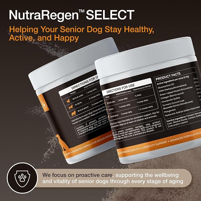 NutraRegen Dog Joint Supplement 45 Scoops | Natural Glucosamine Chondroitin for Dogs with Collagen | Hip and Joint Powder | 7.7 Oz