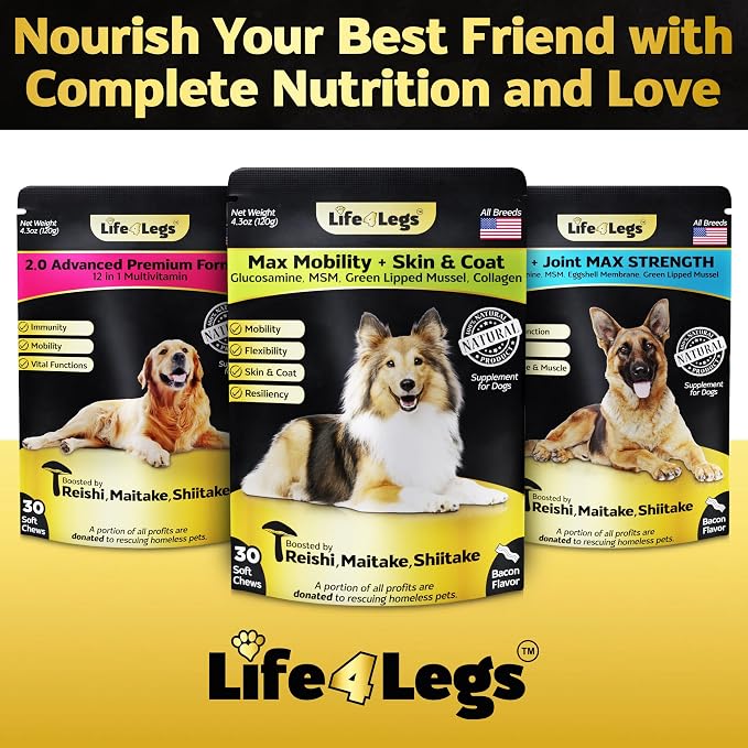 Soft Chews Hip and Joint Supplement for Dogs - Dog Joint Pain Relief Treats - Glucosamine, Chondroitin, Turmeric - Mobility Supplement (Bacon - 30 Soft Chews)