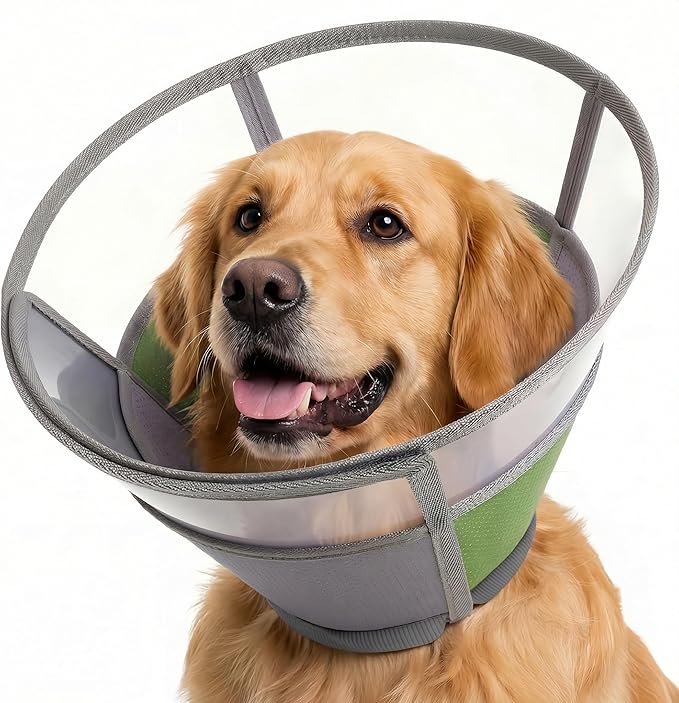 KOESON XL Dog Cone - Soft & Comfortable Cone for Large Dogs with Clear Sheild, Reflective Recovery Collar for Labrador, Golden Retriever, Adjustable Dog E-Collar for Wound Care, Spay, Neuter