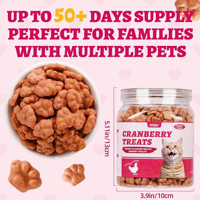 Wellix 13.05oz Urinary Tract Health Cat Treats for Indoor Cats - Cranberry&D-Mannose for UT,Kidney,Bladder Support - Chicken Formula Crunchy Kitten Training Snacks Chews