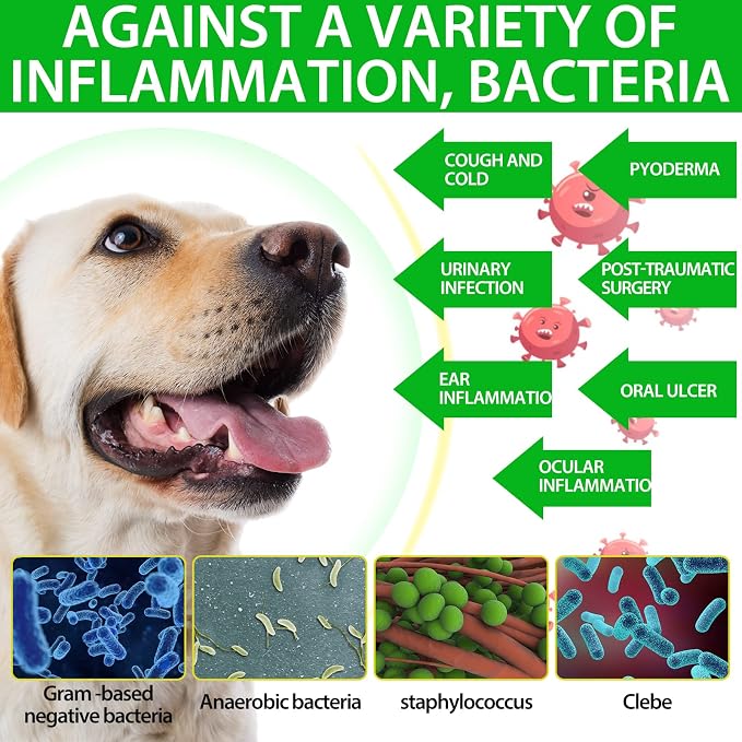NenMaoKeNu Antibiotics for Dogs, Natural Antibiotics for Dogs, Dog Multivitamin for Pets, Dog Supplies Antibiotics, Dog Allergy and Itch Relief - 60ML