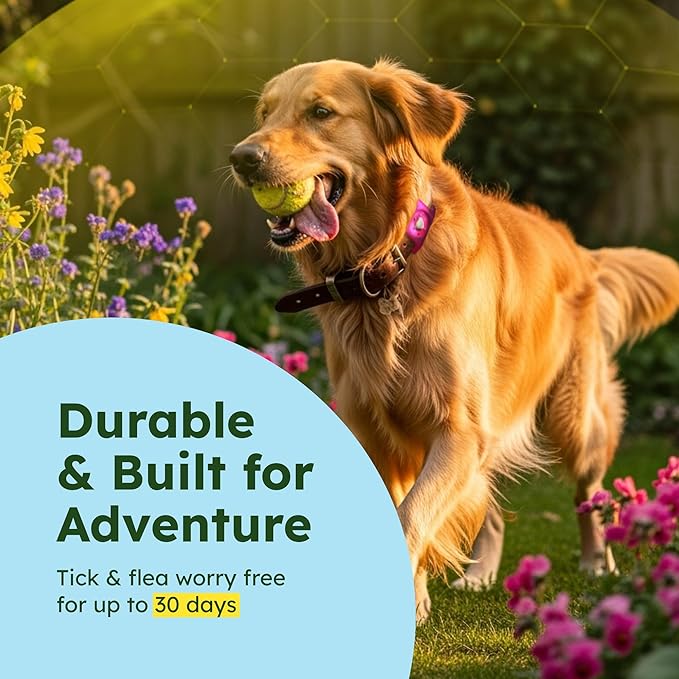 BugMD Paw Guardian Flea and Tick Prevention Pendant for Dogs with AirTag Holder, Plant-Powered Flea and Tick Control for Collars and Harnesses, (15.14 Grams) Pink