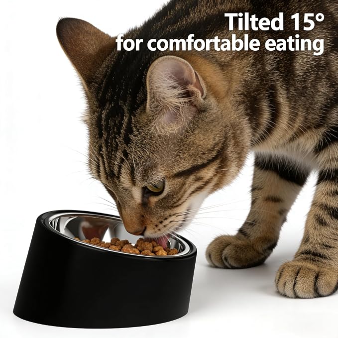15° Tilted Dog Bowl for Medium Breeds – Non-Slip No-Spill Stainless Steel Pet Feeder, Detachable 2-in-1 Food & Water Dish for French Bulldog & Cats, Anti-Choke, Black (Size M, 350ml)