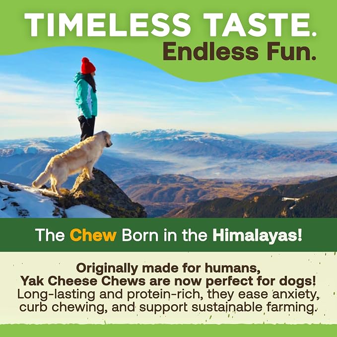 EcoKind Yak Cheese Himalayan Dog Chews, Yak Chews for Medium Dogs, Long Lasting Bone for Aggressive Chewers, 4 Ingredients, Natural High Protein Treats, No Additives, Water Buffalo, Medium - 3 Chews