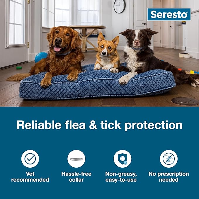 Seresto Flea & Tick Collar for Dogs Over 18 lbs., Treatment & Prevention, Vet-Recommend, 8 Month Protection (Pack of 2)