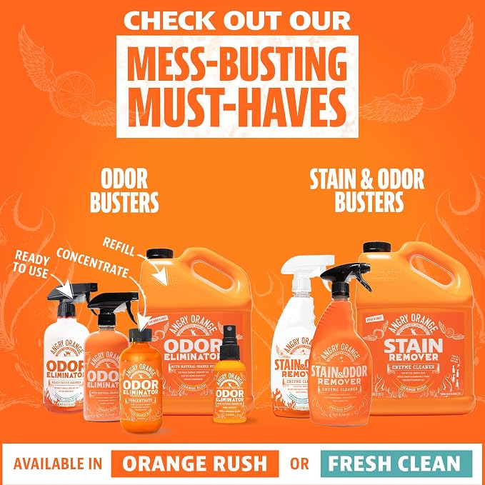 ANGRY ORANGE 1 Gallon Enzyme Cleaner and Deodorizer, Pet Stain and Odor Remover for Dog & Cat Urine and Stains - Orange Rush Scent, Made in USA