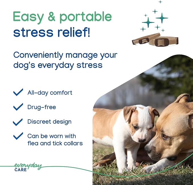 Virbac ZENIDOG® Long-Acting Collar for Dogs | Calming Pheromone Collar for Stress Relief, Medium/Large Dog - Lasts up to 3 Months