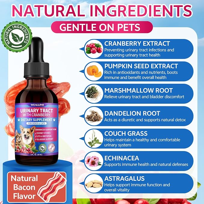 Cat & Dog Natural Urinary Tract Infection Treatment for Kidney & Bladder Care + L-lysine Supplement for Cats to Boost Cat Immunity, Immune & Urinary Health Support for Cats & Dogs