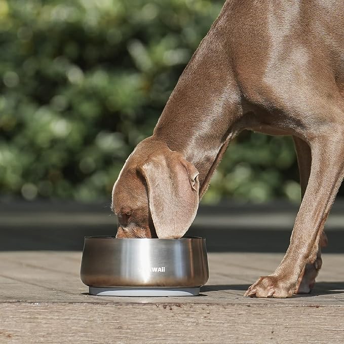Pawaii Dog Bowl, 68 oz Double-Wall Stainless Steel Food and Water Bowl, Non-Slip Rubber Base, Dishwasher Safe, ID Tag Included, (1 Pack)