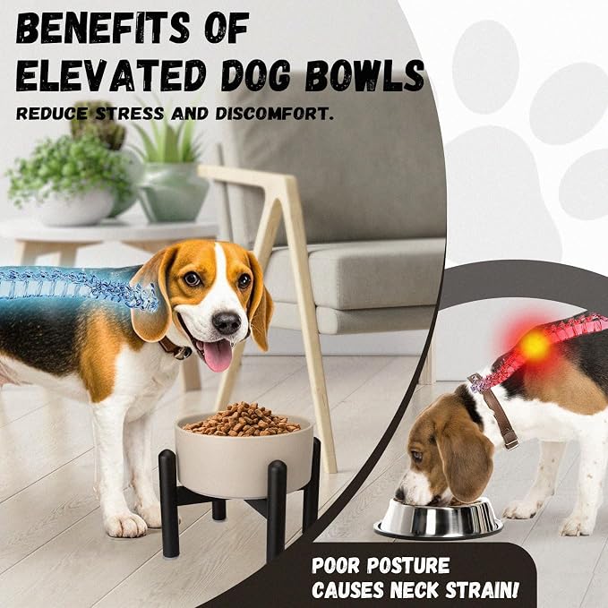 Raised Ceramic Dog Bowl, 6.1'' Modern Feeding Bowl with Non-Slip Stainless Steel Stand, Elevated Food or Water Dish for Small to Medium Dogs, 2 Cups (28.75 fl oz)- Black