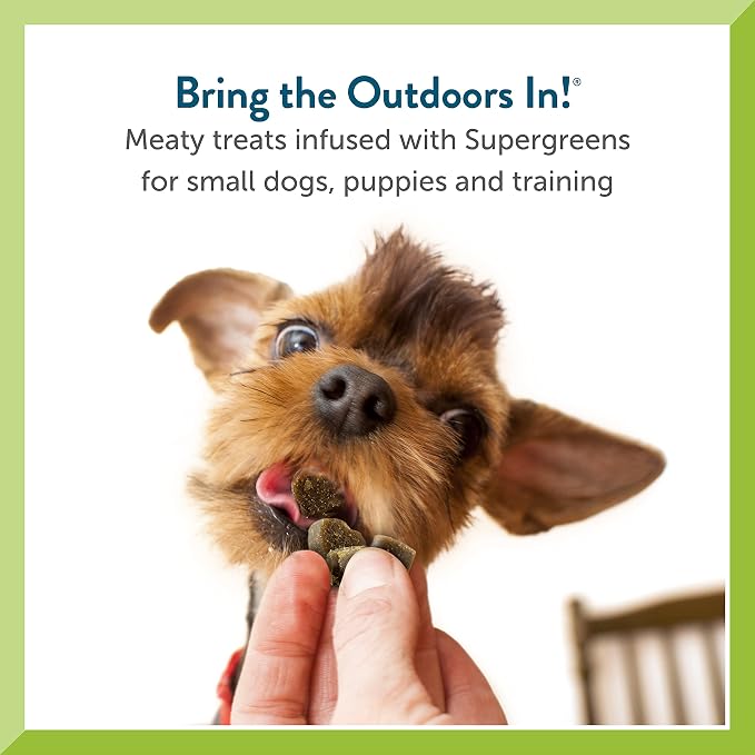 Pet Greens Natural Soft-Chew Dog Treats Infused with Supergreens Healthy Salmon, Flavor, 6 Ounces Per Pack (3 Pack Healthy Salmon)