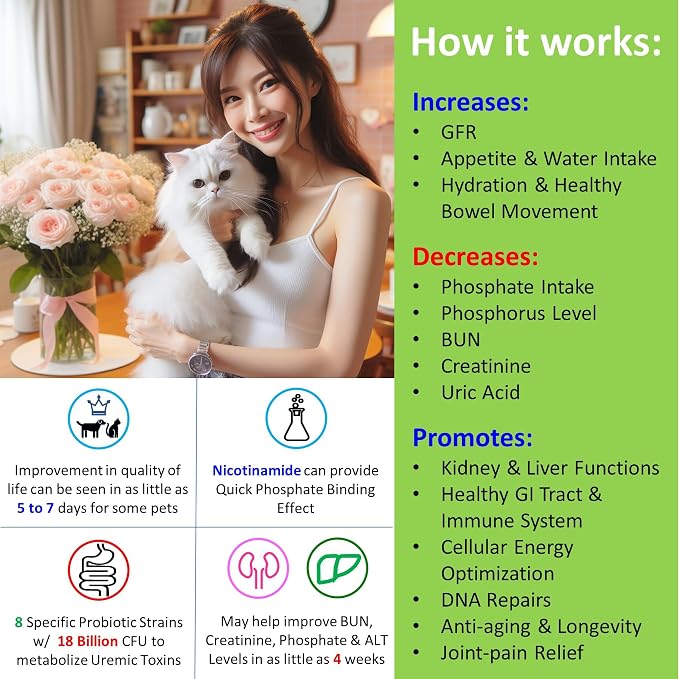 𝗘𝘃𝗲𝗻𝘁𝘂𝗮𝗹𝗹𝘆 𝗬𝗼𝘂𝗻𝗴 Cat Kidney Support for Dog & Cat with NMN & Fisetin - Super Phosphate Binder Kidney and Liver Supplement for Feline, Canine Healthy Aging & Longevity NAD+ (30 Caps)