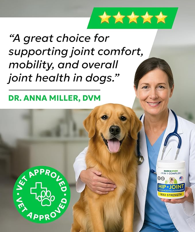 Bark&Spark Glucosamine Chondroitin Dog Hip & Joint Supplement - Joint Pain Relief - Hip & Joint Chews - Joint Support Large Small Breed - Senior Doggie Vitamin Pill Joint Health (180 Treats - Chicken)