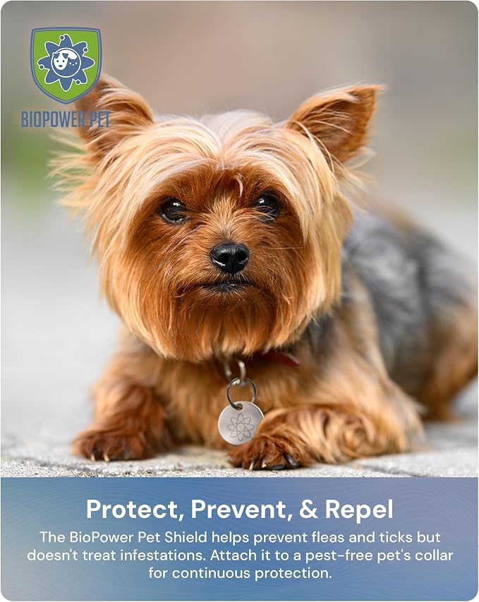 Shield Tag - Natural Flea & Tick Repellent Collar Tag for Dogs & Cats - Waterproof, Lasts 12 Months - Stainless Steel Pendant - Small Tag (<10 Lbs) - 3 Pack