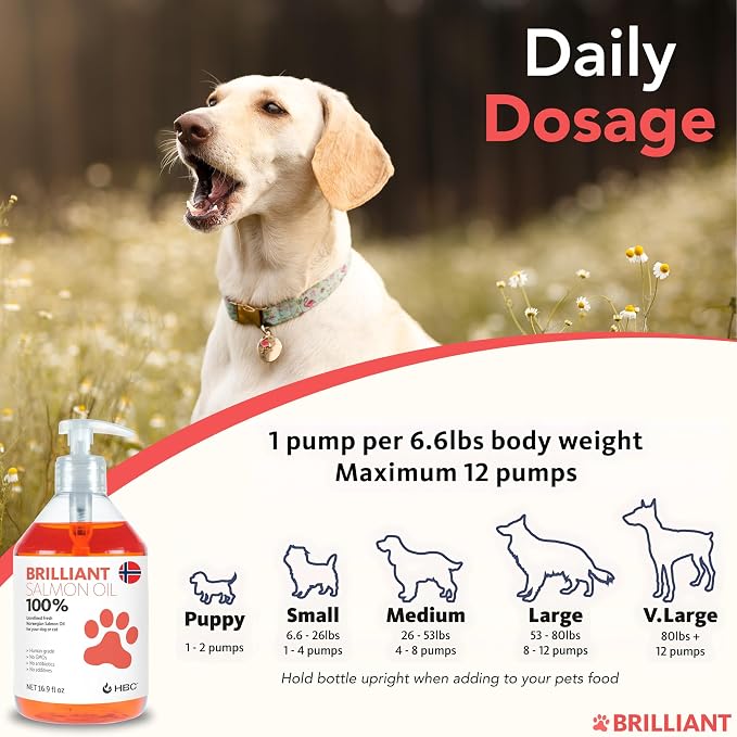 Brilliant Norwegian Salmon Oil for Dogs, Cats, Horse, Ferret - Pure Omega 3, 6 & 9 Fish Oil Food Treats Supplement for Natural Coat, Immune Support, Itchy Skin, Joint & Brain Health - 40 Oz