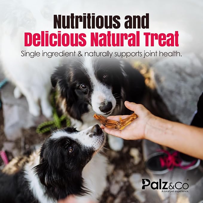 Palz&Co Duck Feet for Dogs - 35 Pack of 100% Natural Single Ingredient Dog Treats, Grain-Free, High Protein, Nail Free, Crunchy & Chewy Texture