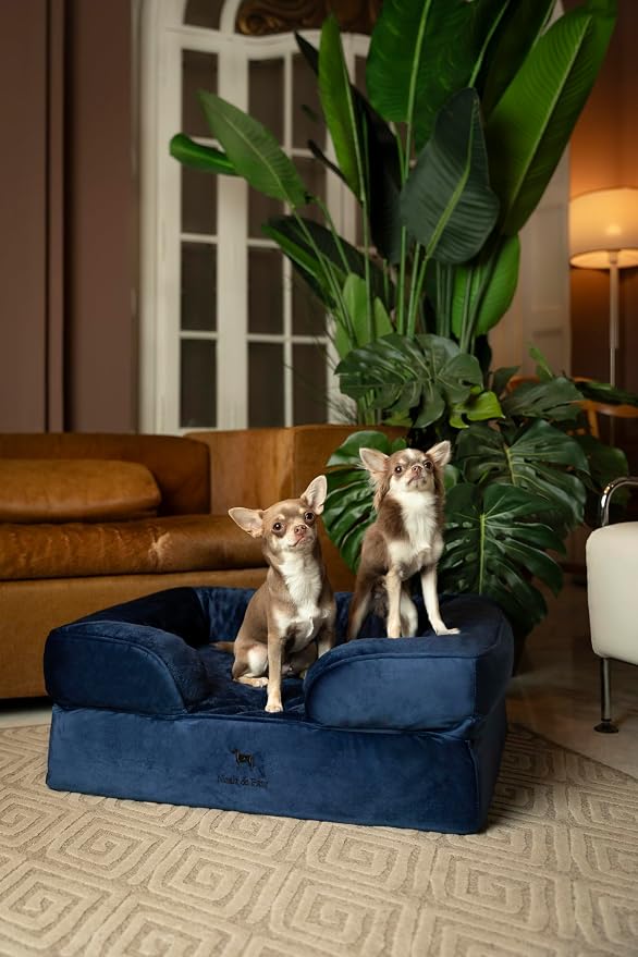NOAH & PAW Dog Bed, 28x23x11 Inch, Orthopedic Dog Beds for Medium Size Pets, Eggshell Memory Foam Infused with Cooling Gel, Inner Cover, Water Resistant, Machine Washable (Velvet Sofa Collection)