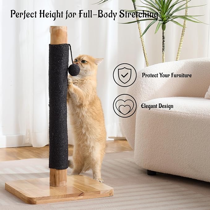 29" Tall Solid Wood Cat Scratching Post for Indoor Cats, Extra Stable Heavy Base, Natural Sisal Scratcher with Hanging Ball, Furniture Protector for Kittens & Adult Cats, Beige