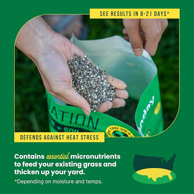 Sunday South Seed + Feed – Heat-Tolerant Grass Seed and Fertilizer for Southern Lawns - 9-0-2 NPK Mic - 10lbs