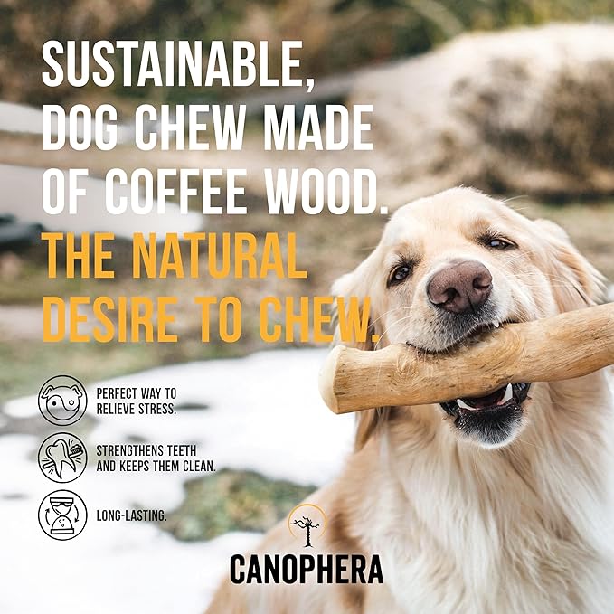 Canophera Xtra Small Dog Chew Sticks - 2 Pack of Coffee Tree Wood Chews for Healthy Teeth and Gums - All Dog Breeds