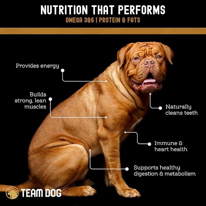 Team Dog Lamb & Salmon Dog Freeze-Dried Raw Treats | Soft Dog Treats & Grain Free Dog Food Topper | USA-Sourced Salmon & Lamb for Cleaner Teeth, Digestive Health & Muscle Growth | 13 oz Bulk Size