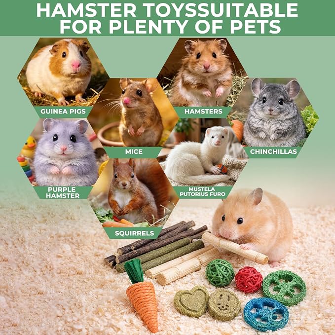 19 PCS Hamster Tubes and Wood Hamster Chew Toys, Natural Guinea Pig Chew Toys for Enrichment, Pet Cage Accessories for Syrian, Cage Accessories for Teeth Care & Boredom Relief (Pink Blue Green)