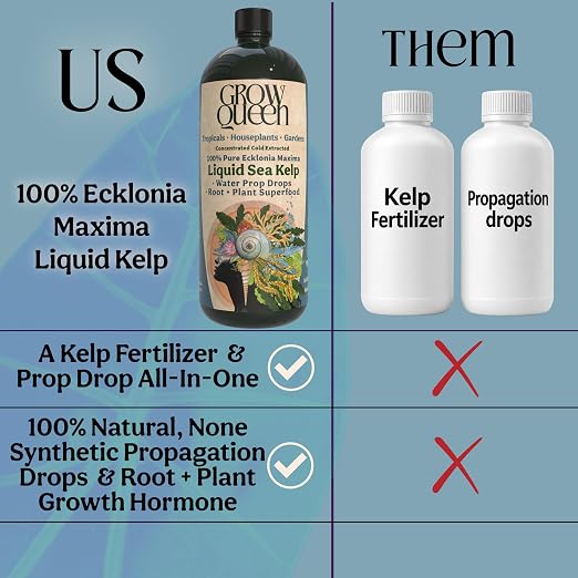 Organic Liquid Kelp & Seaweed Extract Prop Drop (Ecklonia Maxima) – Root + Plant Growth Hormone & Root Plant Food for Water Propagation, Hydroponics & Soil – 16oz 120 Gallons