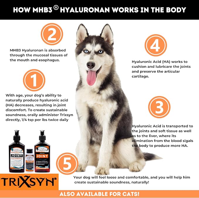 TRIXSYN Canine - Dog Hip and Joint Supplement - Liquid Hyaluronic Acid HA for Dog - Patented Liquid Formula for Senior Dogs - MHB3 Hylauronan - 6 fl oz (3)