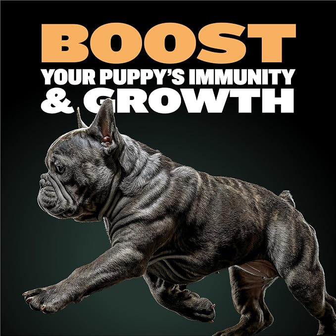 Bully Max Wet Puppy Food (2lbs. Dry Makes 5.5 lbs. Wet Food) Puppy Chews for Immunity & Growth and Puppy Vitamins (30 tabs) for Development & Digestive Support Bundle for Small, Large Breed Puppies