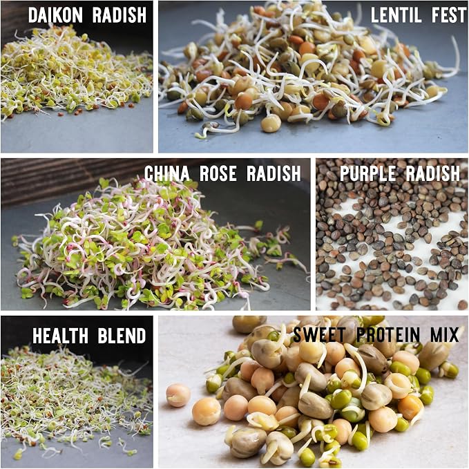 12 Variety Pack Organic Sprouting Seeds - Fully Raw Kristina's Sprouts Growing Kit with Sprouting Lid & Book - Alfalfa Seeds, Mung Bean, Radish, Clover Seed, Salad Mix, Pea, Health Blend, & More