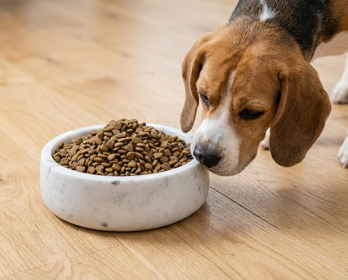 OOBOOB Natural Marble Dog Bowls, Heavy Non-Slip Dog Food Bowl & Dog Water Bowl for Dogs and Cats, Minimalist Design with Unique Natural Veining, Premium Pet Feeding Bowl