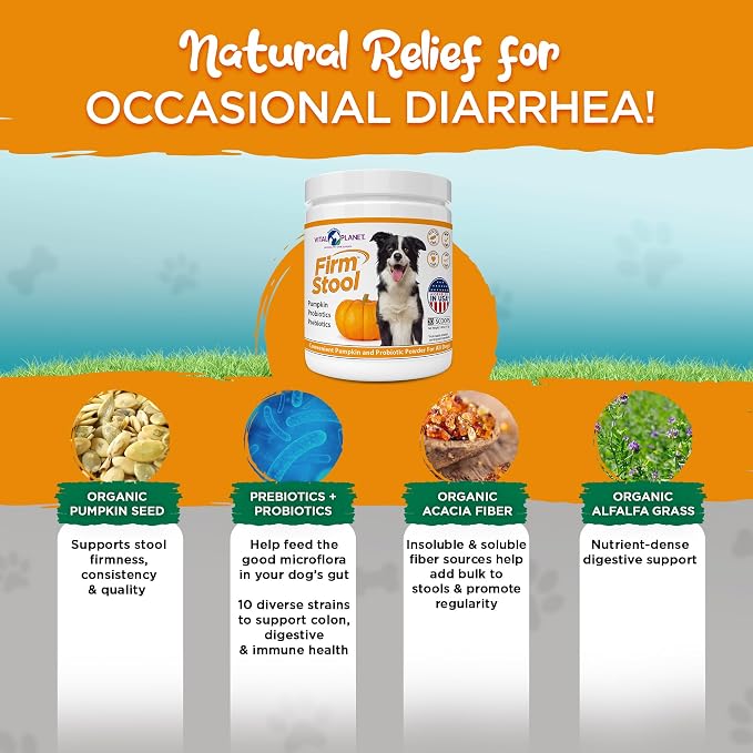 Vital Planet - Firm Stool – Dog Stool Hardener, Eliminates Diarrhea and Gas - Pumpkin, Probiotics and Prebiotics for Healthy Digestion, Fiber for Firmer Stools and Regularity - 111 Grams 30 Servings
