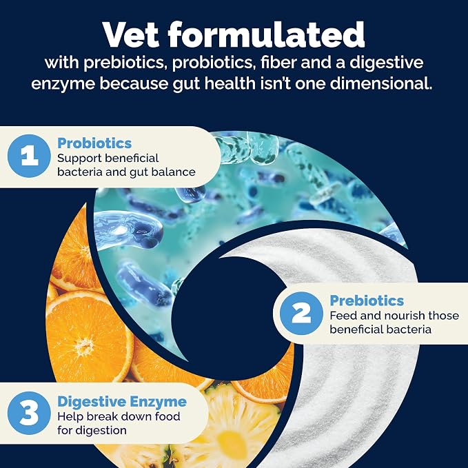 Vetnique Glandex Dog Probiotic Chews, Daily Probiotics for Dogs 5 Strains, Prebiotics & Digestive Enzymes for Gut & Immune Health, Vet Formulated for Occasional Diarrhea (30ct Chews, Probiotic Chews)